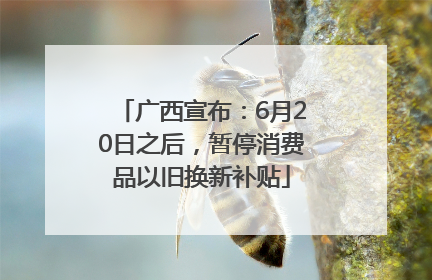 广西宣布：6月20日之后，暂停消费品以旧换新补贴