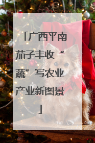 广西平南茄子丰收“蔬”写农业产业新图景