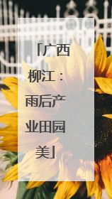 广西柳江：雨后产业田园美