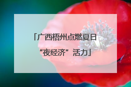 广西梧州点燃夏日“夜经济”活力