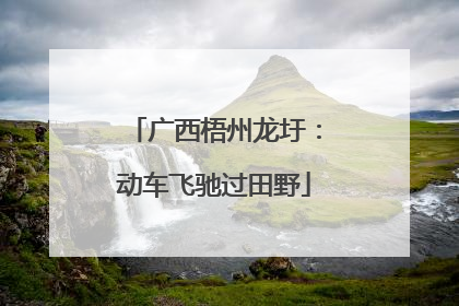 广西梧州龙圩：动车飞驰过田野