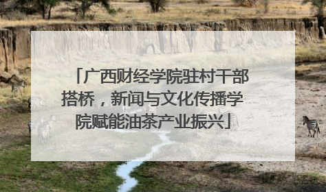 广西财经学院驻村干部搭桥，新闻与文化传播学院赋能油茶产业振兴