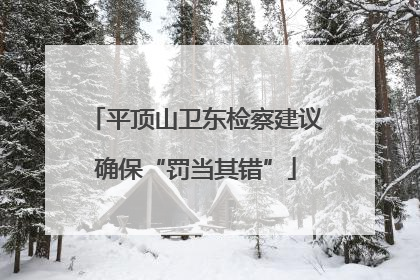 平顶山卫东检察建议确保“罚当其错”