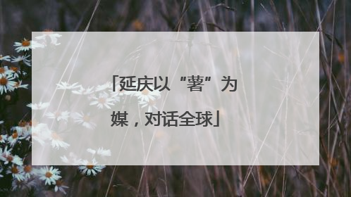 延庆以“薯”为媒，对话全球