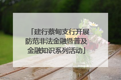 建行蔡甸支行开展防范非法金融暨普及金融知识系列活动
