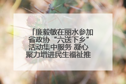廉毅敏在丽水参加省政协“六送下乡”活动集中服务 凝心聚力增进民生福祉推进共同富裕
