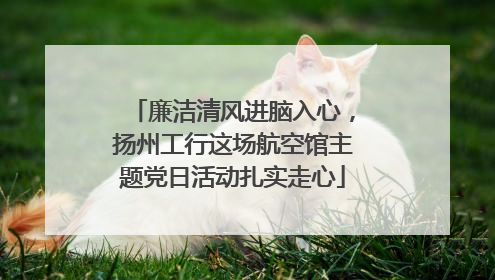 廉洁清风进脑入心，扬州工行这场航空馆主题党日活动扎实走心