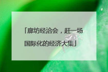 廊坊经洽会，赶一场国际化的经济大集