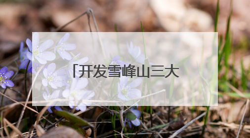 开发雪峰山三大核心景区 湖南国有资本大有可为