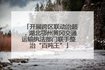 开展跨区联动治超，湖北鄂州黄冈交通运输执法部门联手整治“百吨王”
