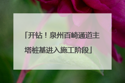 开钻！泉州百崎通道主塔桩基进入施工阶段