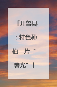 开鲁县：特色种植一片“薯光”