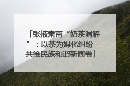 张掖肃南“奶茶调解”：以茶为媒化纠纷 共绘民族和谐新画卷