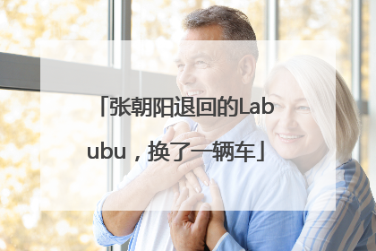 张朝阳退回的Labubu，换了一辆车