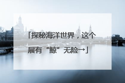 探秘海洋世界，这个展有“鲸”无险→
