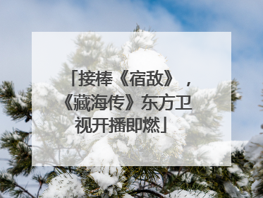 接棒《宿敌》，《藏海传》东方卫视开播即燃