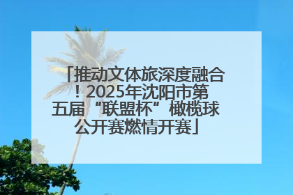推动文体旅深度融合！2025年沈阳市第五届“联盟杯”橄榄球公开赛燃情开赛