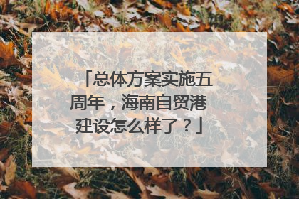 总体方案实施五周年，海南自贸港建设怎么样了？