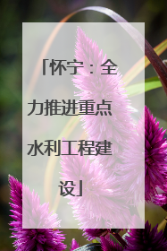 怀宁：全力推进重点水利工程建设