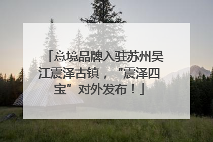 意境品牌入驻苏州吴江震泽古镇，“震泽四宝”对外发布！