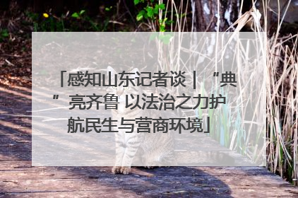 感知山东记者谈｜“典”亮齐鲁 以法治之力护航民生与营商环境
