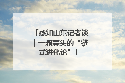 感知山东记者谈｜一颗蒜头的“链式进化论”