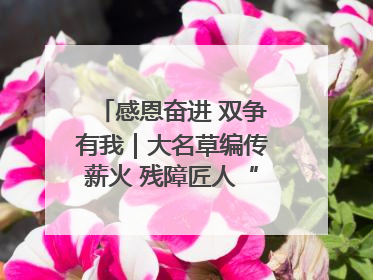 感恩奋进 双争有我｜大名草编传薪火 残障匠人“织”前程