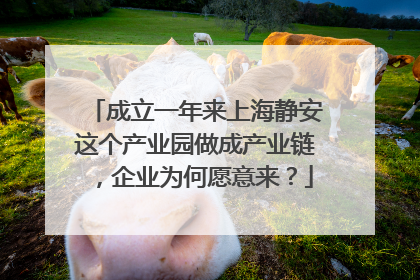 成立一年来上海静安这个产业园做成产业链，企业为何愿意来？