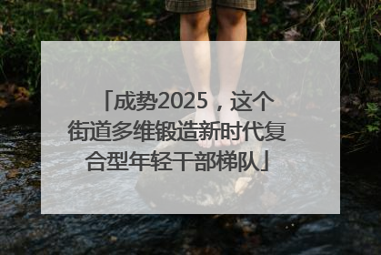 成势2025，这个街道多维锻造新时代复合型年轻干部梯队