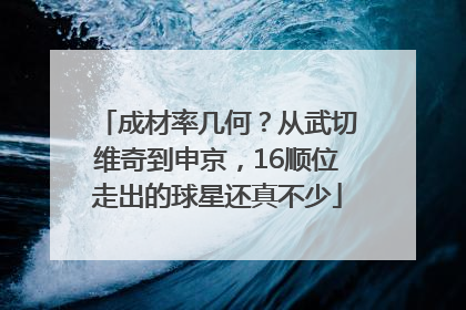 成材率几何？从武切维奇到申京，16顺位走出的球星还真不少