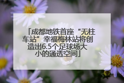 成都地铁首座“无柱车站”幸福梅林站将创造出6.5个足球场大小的通透空间