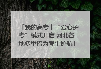 我的高考丨“爱心护考”模式开启 河北各地多举措为考生护航