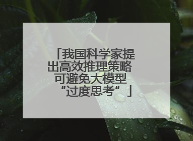 我国科学家提出高效推理策略 可避免大模型“过度思考”