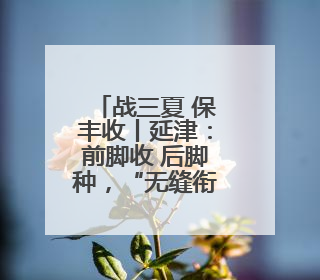 战三夏 保丰收丨延津：前脚收 后脚种，“无缝衔接”抢农时