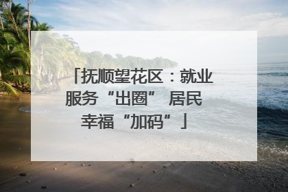 抚顺望花区：就业服务“出圈” 居民幸福“加码”