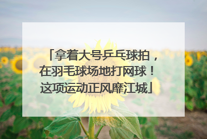拿着大号乒乓球拍，在羽毛球场地打网球！这项运动正风靡江城