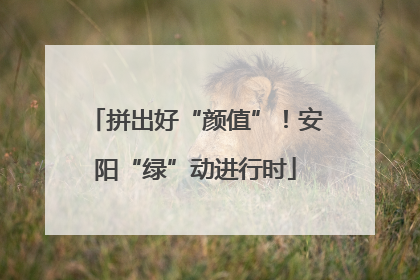 拼出好“颜值”！安阳“绿”动进行时