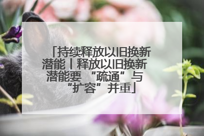 持续释放以旧换新潜能丨释放以旧换新潜能要 “疏通”与“扩容”并重
