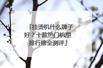 挂烫机什么牌子好？十款热门机型排行榜全测评
