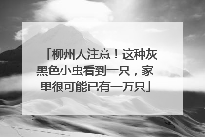 柳州人注意！这种灰黑色小虫看到一只，家里很可能已有一万只