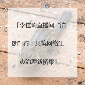 李佳琦直播间“清朗”行：共筑网络生态治理新桥梁
