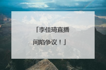 李佳琦直播间陷争议！