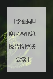 李强同印度尼西亚总统普拉博沃会谈