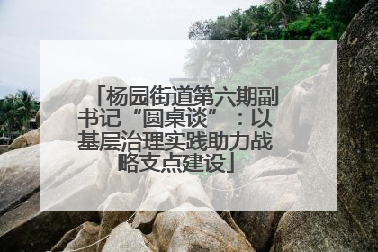 杨园街道第六期副书记“圆桌谈”：以基层治理实践助力战略支点建设
