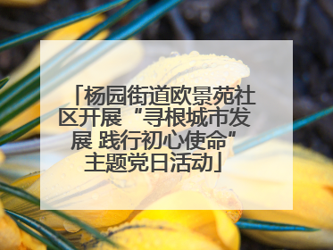 杨园街道欧景苑社区开展“寻根城市发展 践行初心使命”主题党日活动