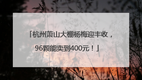 杭州萧山大棚杨梅迎丰收，96颗能卖到400元！