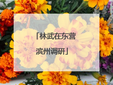 林武在东营滨州调研