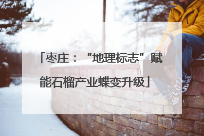 枣庄：“地理标志”赋能石榴产业蝶变升级