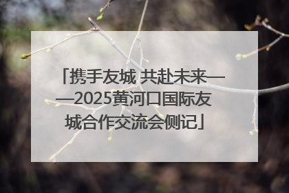 携手友城 共赴未来——2025黄河口国际友城合作交流会侧记