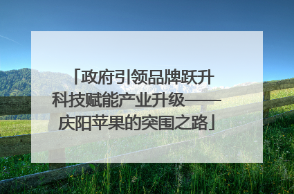 政府引领品牌跃升 科技赋能产业升级——庆阳苹果的突围之路